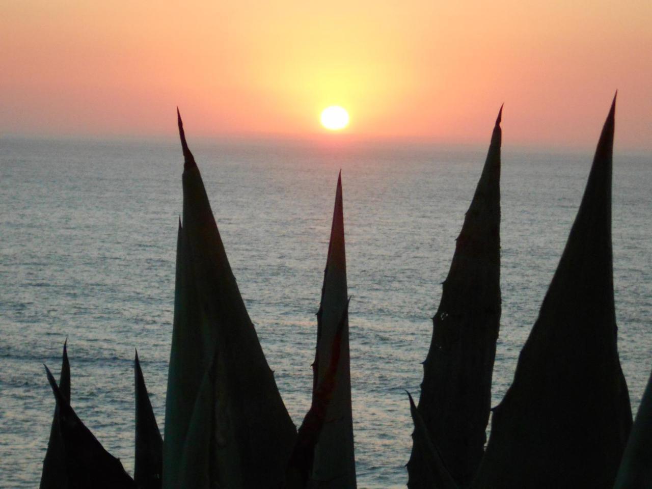 Hotel Sol Dourado à Zambujeira do Mar Extérieur photo